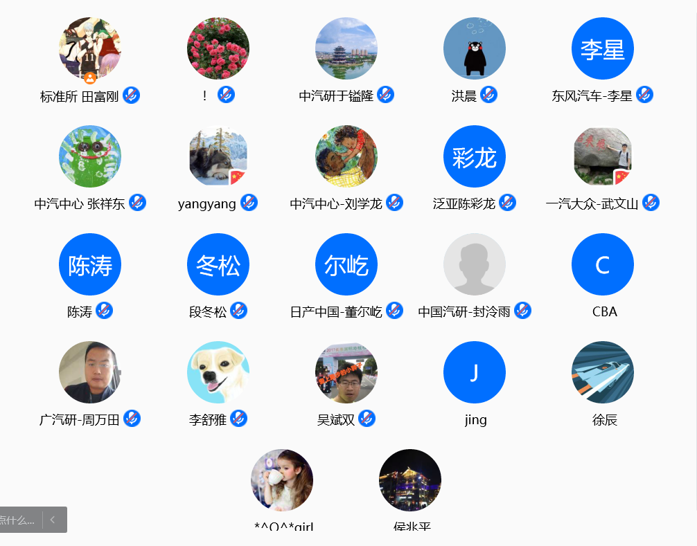 视频会议截屏.png